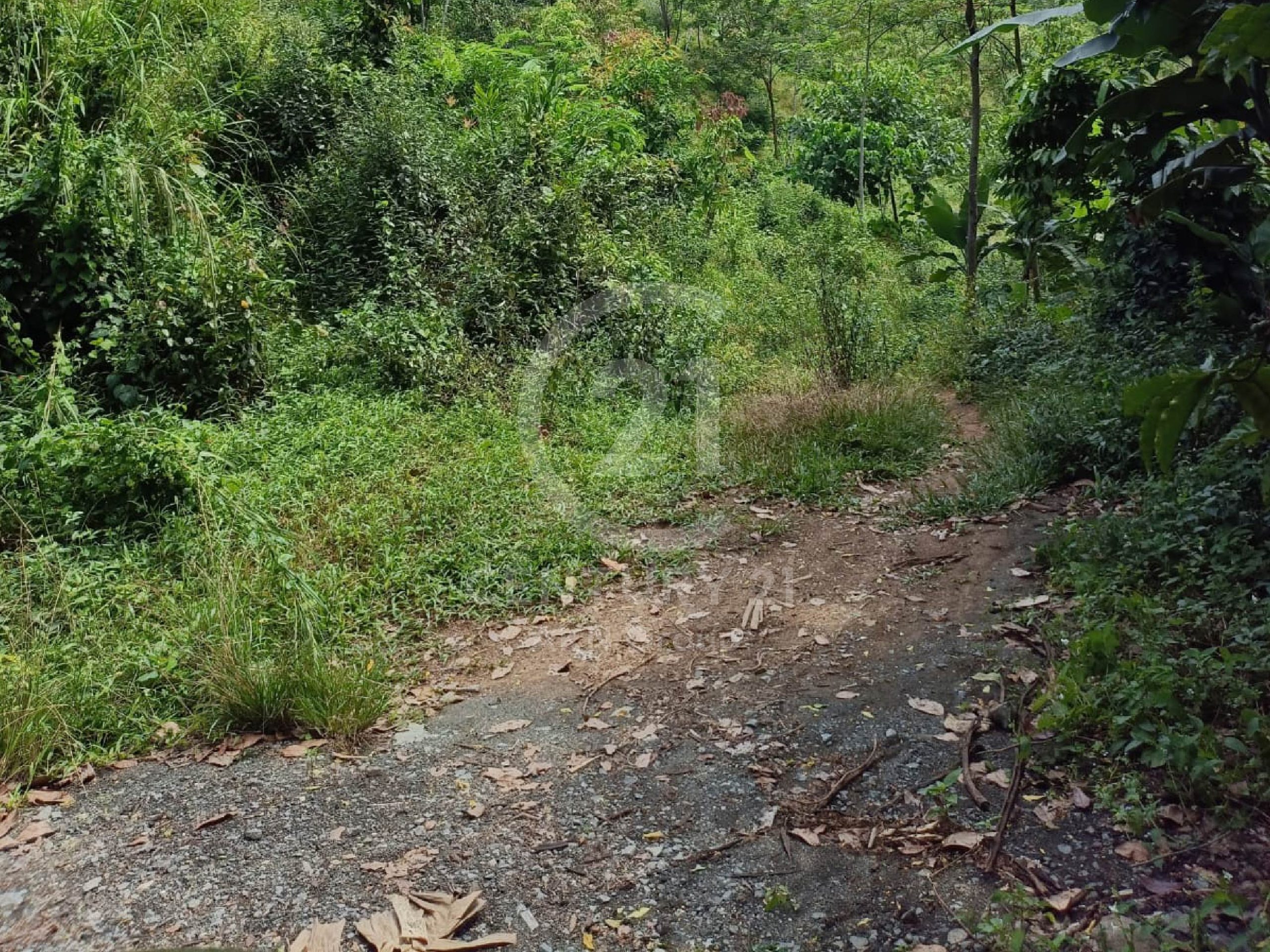 Tanah Jonggol Cocok Untuk Villa
